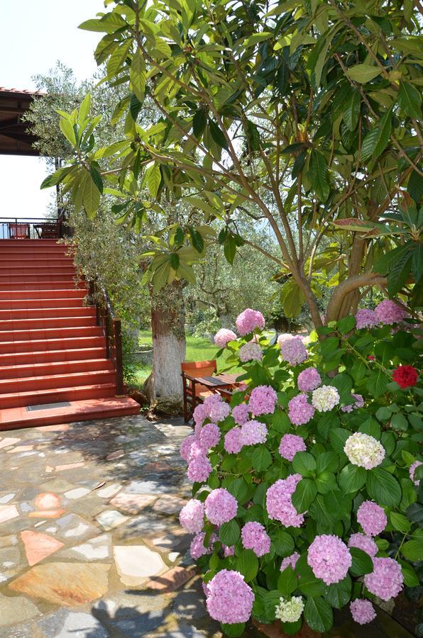Hotel Maria Криси Амудия Екстериор снимка
